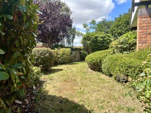 Communal Gardens- click for photo gallery